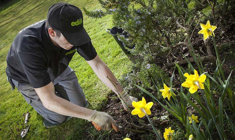 cham-soc-san-vuon-02